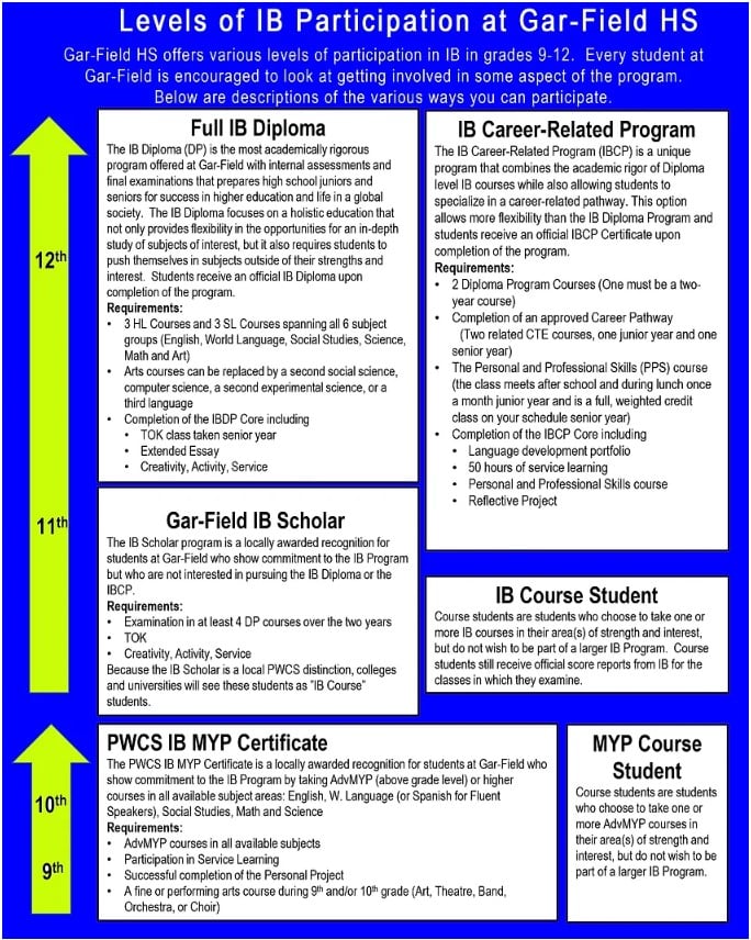 levels-of-participation-IB.jpg