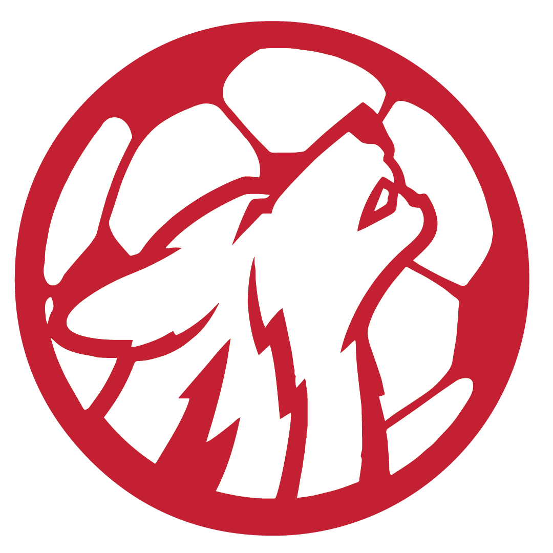Girl's soccer Logo