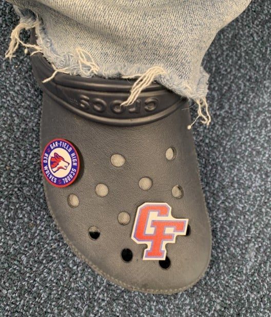 Gar-Field gibbitz for crocs